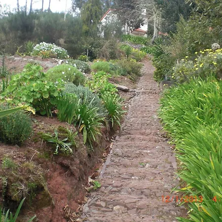 Casa de Férias Holiday Casa Oliveira Madeirã